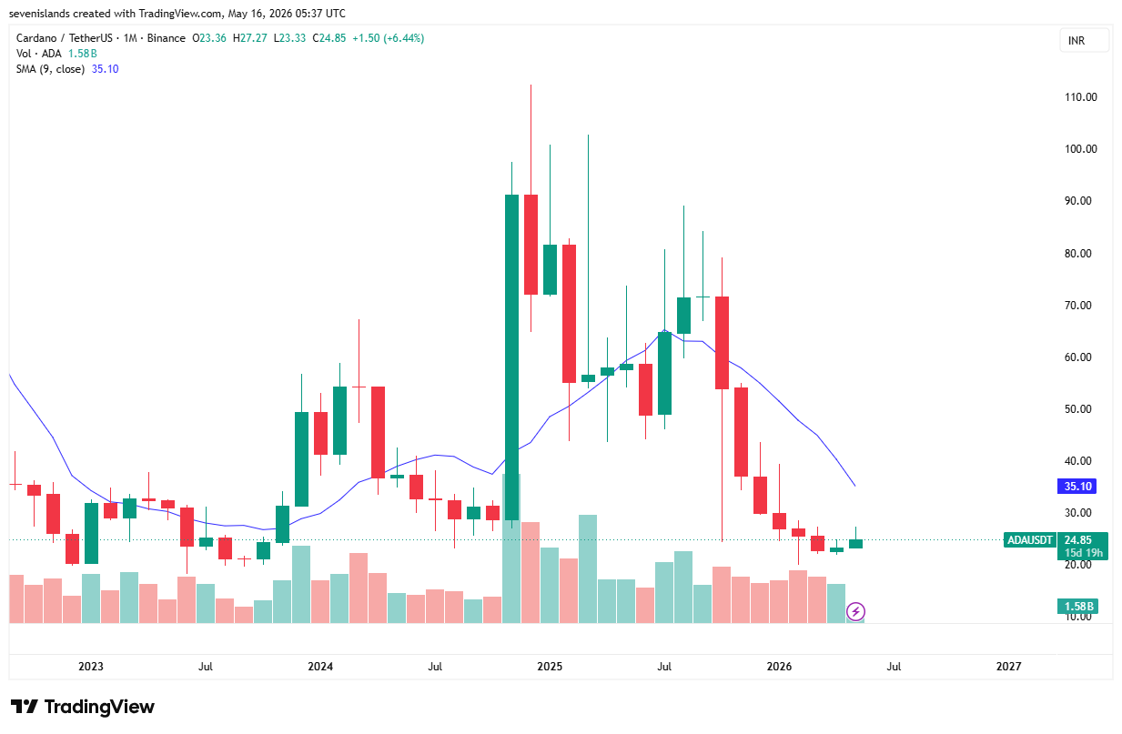 top-gainers-of-the-month