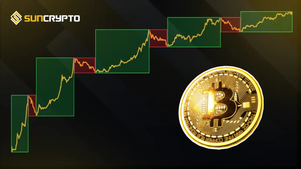 Bitcoin Four Year Cycle