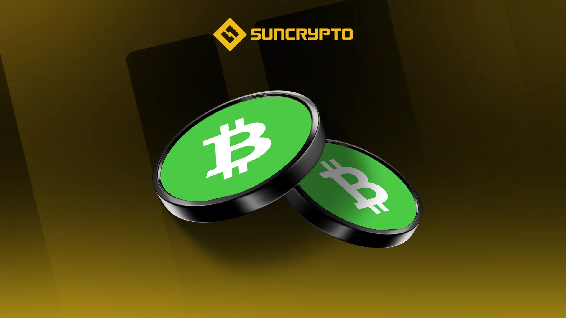 bitcoin cash