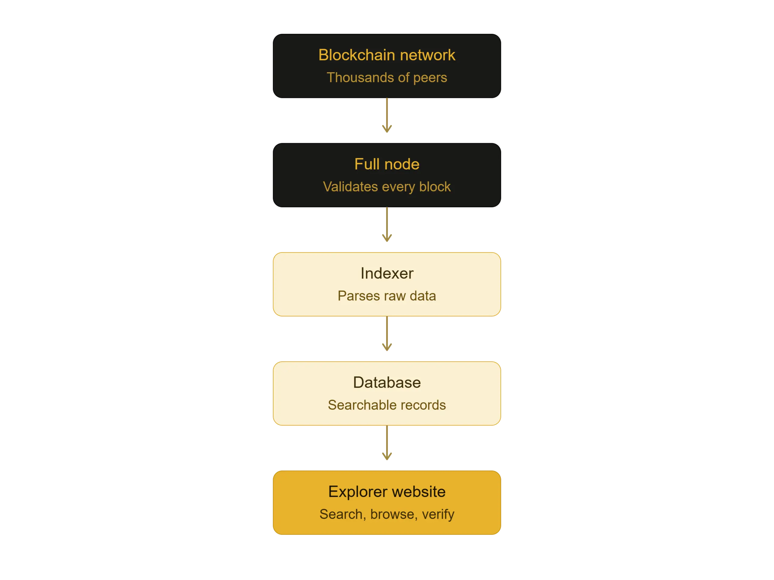 blockchain explorer