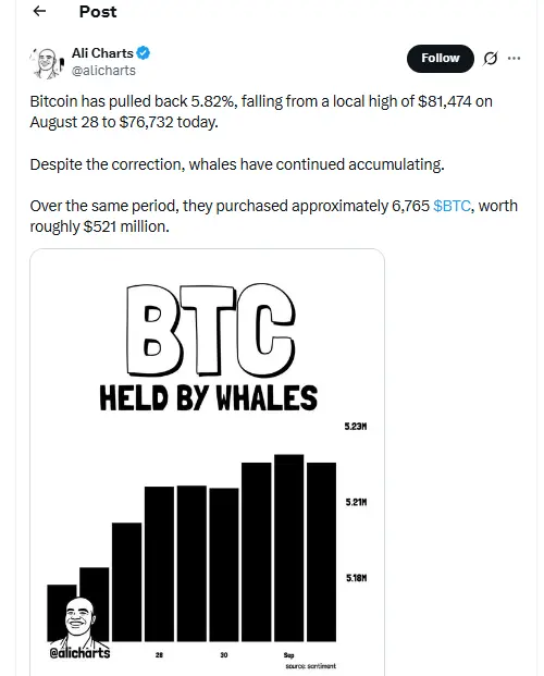 crypto market
