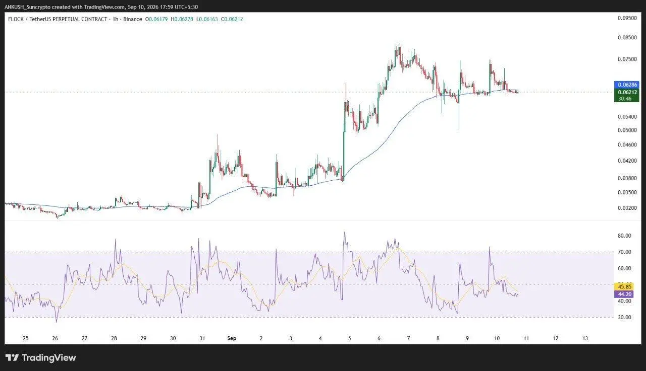 futures new listing - Flock